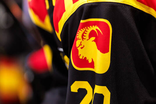 Brynäs retrotröja