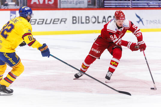 Timrås Sebastian Hartmann