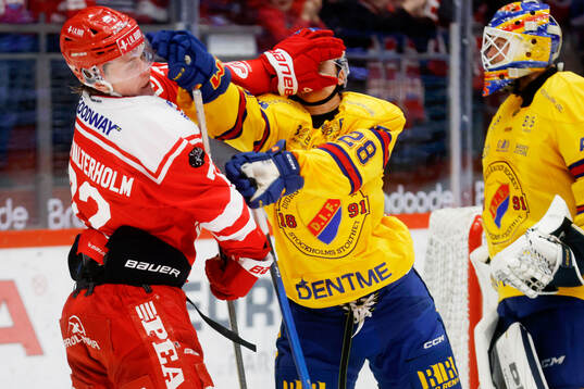 Timrås Edwin Annerstedt och Djurgårdens Gustav Lindström