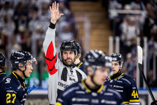 Domare Mikael Sjöqvist