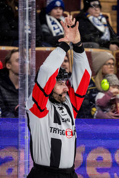 Domare Mikael Sjöqvist