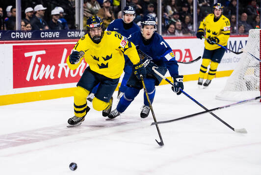 Viggo Björck of Sweden and Daniel Nieminen of Finland