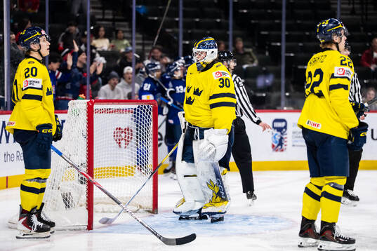 Alfons Freij and goaltender Love Härenstam of Sweden looks