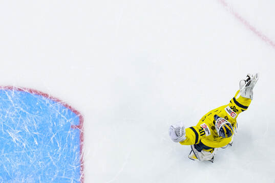 Goaltender Love Härenstam of Sweden celebrates