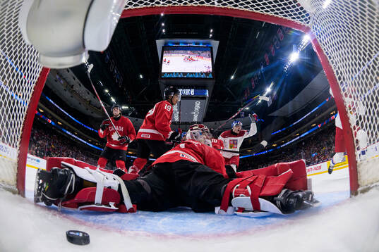 Tomas Poletin of Czech Republic celebrates the 1-1 goal by
