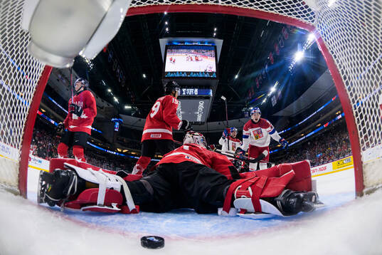 Tomas Poletin of Czech Republic celebrates the 1-1 goal by