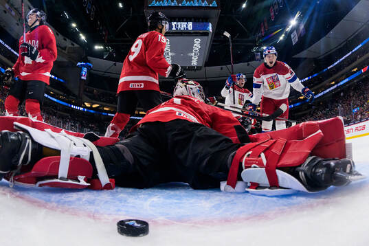 Tomas Poletin of Czech Republic celebrates the 1-1 goal by