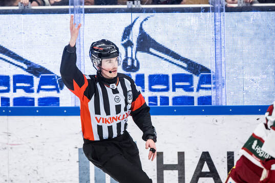 Domare Filip Eriksson