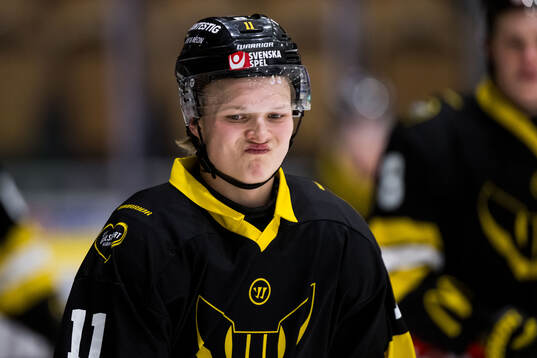 Västerås Linus Rydell