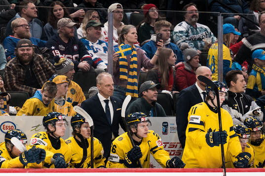 Head coach Magnus Hävelid of Sweden