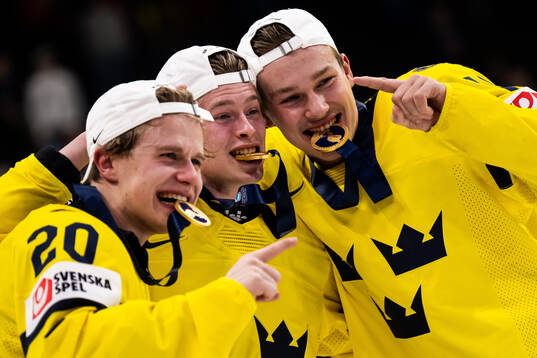 Alfons Freij, Victor Johansson and William Håkansson of