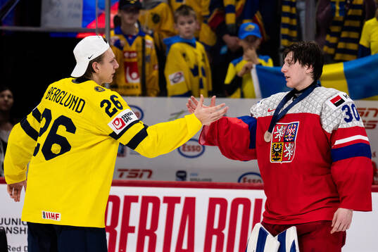 Jack Berglund of Sweden and goaltender Michal Orsulak of