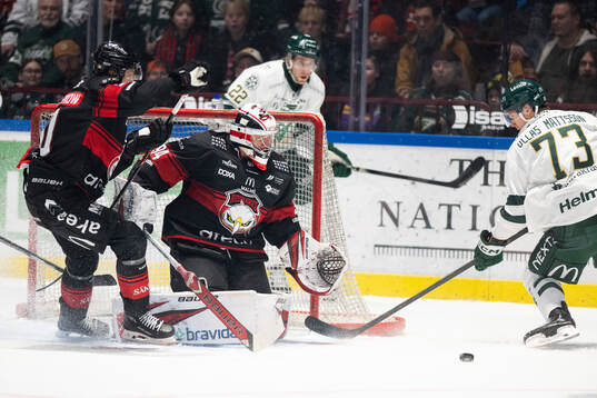 Malmö Redhawks målvakt Marek Langhamer