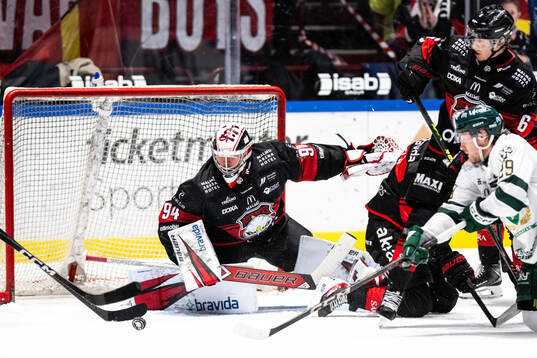 Malmö Redhawks målvakt Marek Langhamer