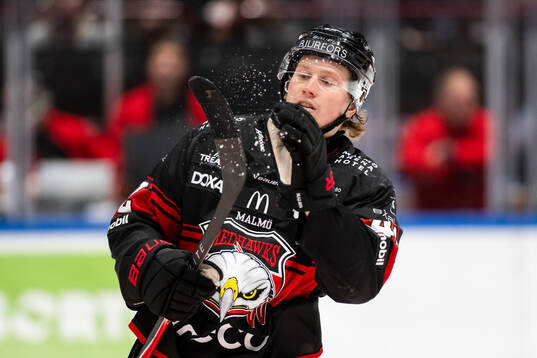 Malmö Redhawks Robin Salo