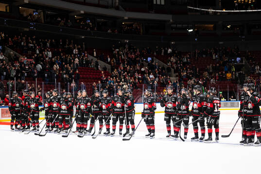 Malmö Redhawks spelare jublar