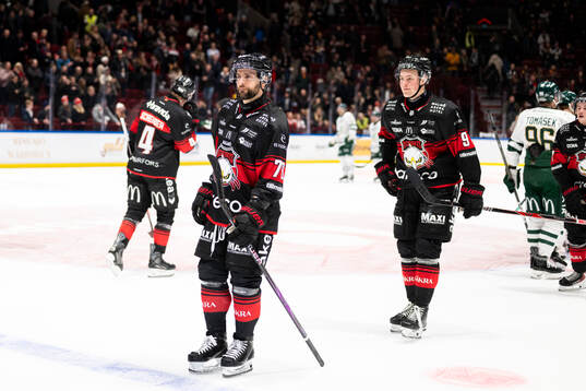 Malmö Redhawks Robin Hanzl