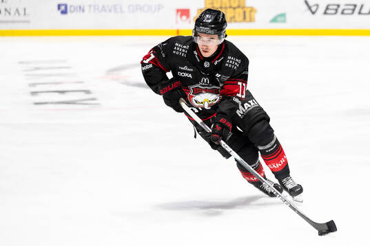 Malmö Redhawks Elia Pedrotti