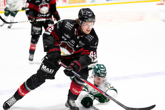 Malmö Redhawks Robin Salo