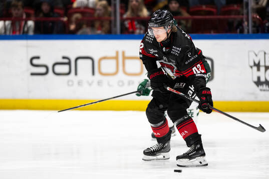 Malmö Redhawks Robin Salo
