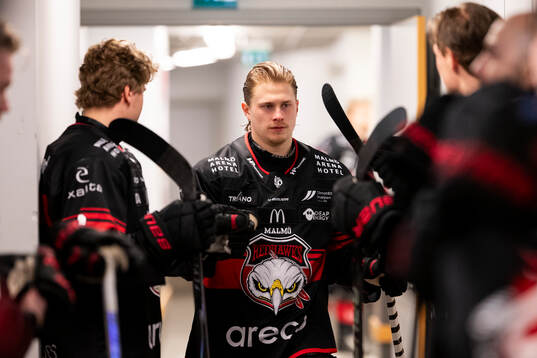 Malmö Redhawks Lauri Pajuniemi