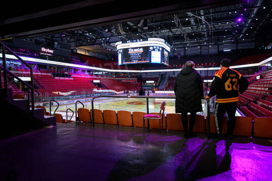 Monitor ERP Arena