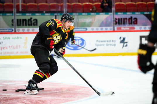Brynäs Kieffer Bellows