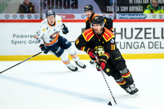 Brynäs Anton Rödin