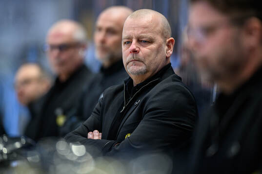 Brynäs tränare Niklas Gällstedt
