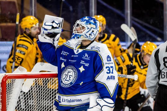 Leksands målvakt Jakob Hellsten deppar