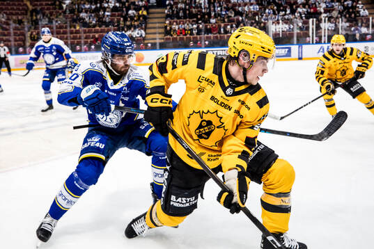 Leksands Nolan Stevens och Skellefteås Victor Stjernborg