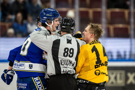 Leksands Anton Johansson och Skellefteås Andreas Johnson