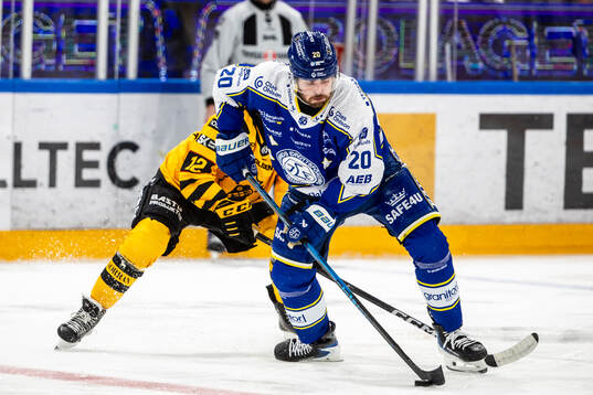 Leksands Nolan Stevens