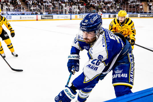 Leksands Nolan Stevens