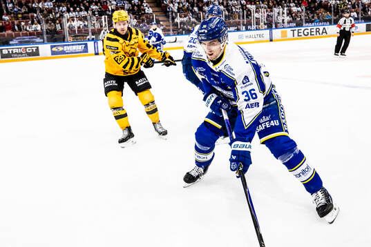 Leksands Stefan Milosevic