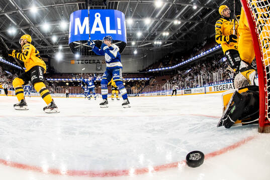 Leksands Lukas Vejdemo jublar