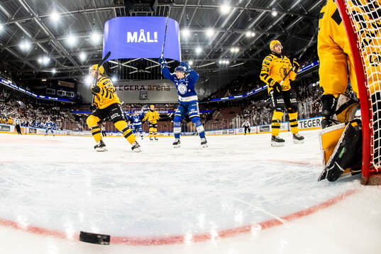 Leksands Lukas Vejdemo jublar