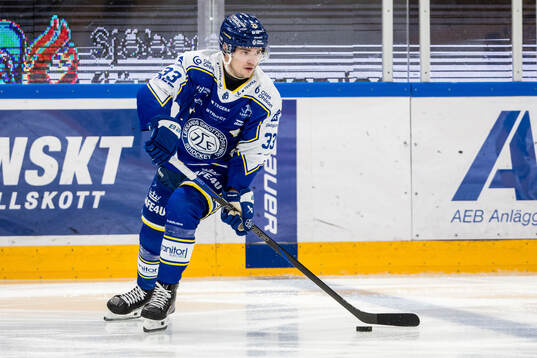 Under ishockeymatchen i SHL mellan Leksand och Skellefteå