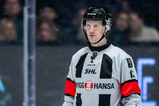 Domare Stefan Leijonklo