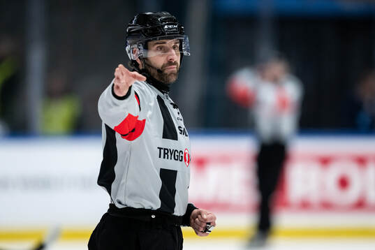 Domare Mikael Sjöqvist