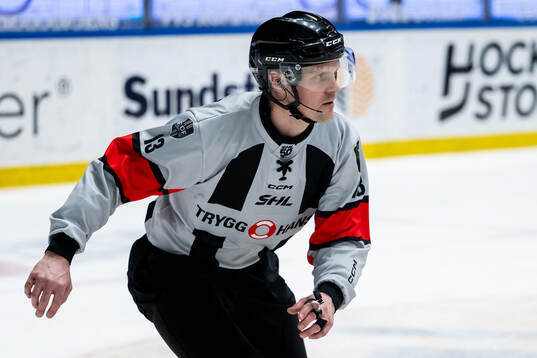 Domare Stefan Leijonklo