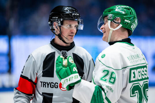 Domare Stefan Leijonklo och Rögles Anton Bengtsson