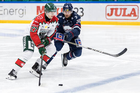 Bläddra bland fler bilder av Ishockey, SHL, Linköping - Frölunda