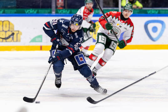 Linköpings Adam Hofbauer