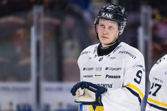 HV71s Hugo Pettersson deppar
