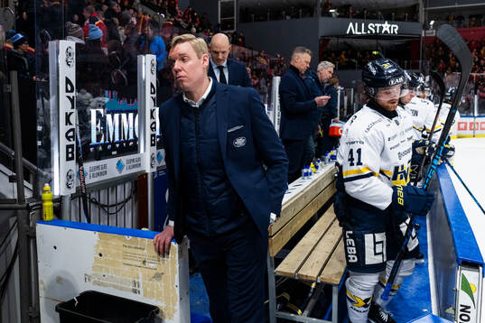 HV71s tränare Anton Blomqvist