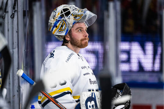 HV71s målvakt Felix Sandström