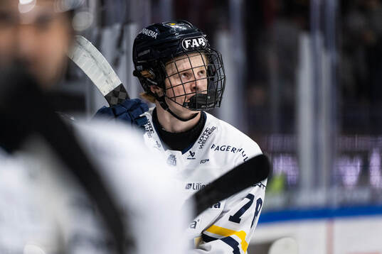 HV71s Malte Gustafsson
