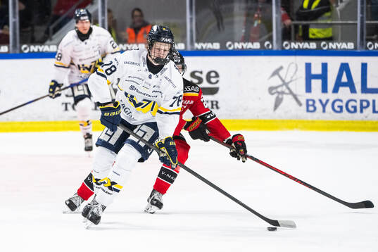 HV71s Malte Gustafsson