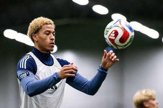 Mikael Marques